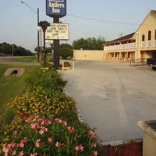 Flower Beds and Front Parking Lot