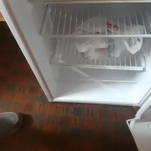 The fridge
