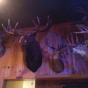 Decor throughout the establishment