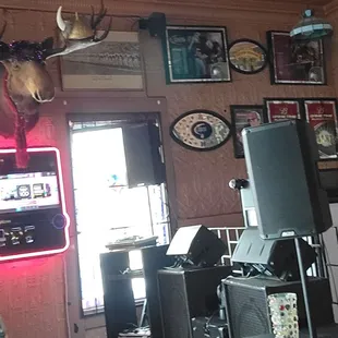 a deer head mounted on the wall