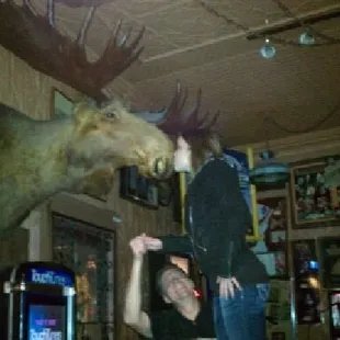 Kissed the moose for my free b-day shot!