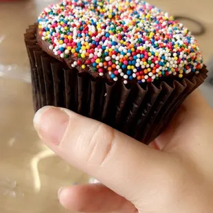 a hand holding a chocolate cupcake with sprinkles