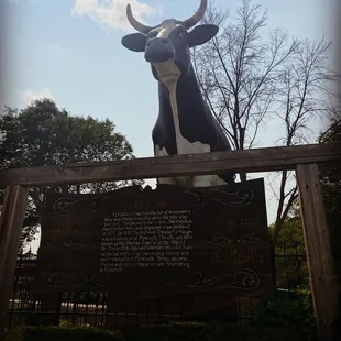 Stop by and say hi to "Antoinette"!