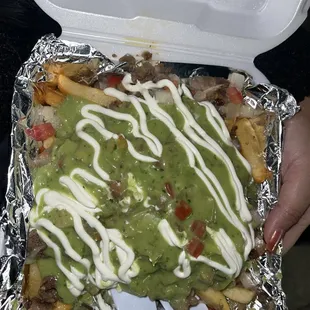Carne Asada fries