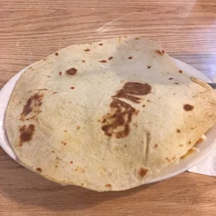 Where's the food? Huge torts