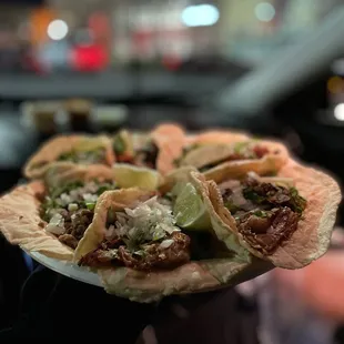 Carnitas Tacos