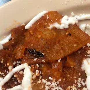 Tijerilla en los chilaquiles