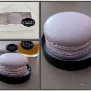 Collage. IG: mikaelekeni