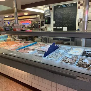 a display of various types of fish