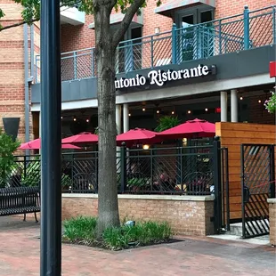 Antonio's in Addison, TX