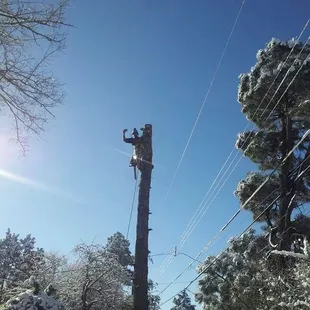  man on a utility pole