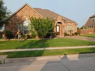 Leo's Tree Service