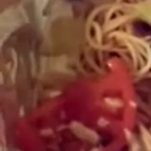 This is an actual live roach we found in their food they delivered to us!