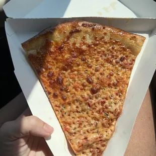 a slice of cheese pizza