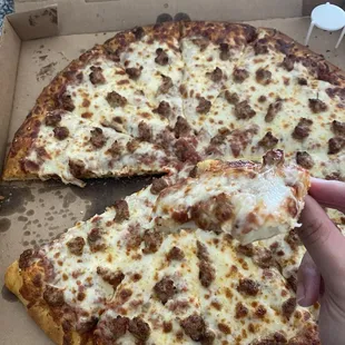 Large pizza (one topping)