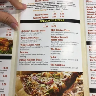 a hand holding a menu