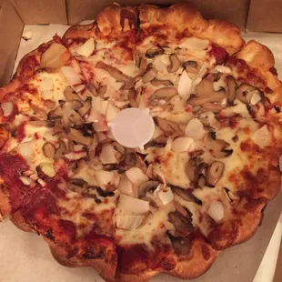Mushroom and cheese pizza