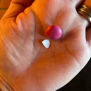 piece of a broken plate (m&amp;m for size reference)