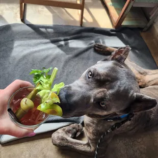 Logan loving brunch!