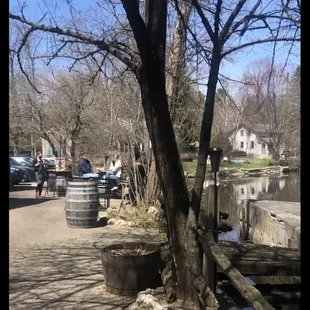 a view of a river and a tree