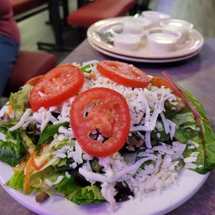 Large dinner salad. Love the ranch.