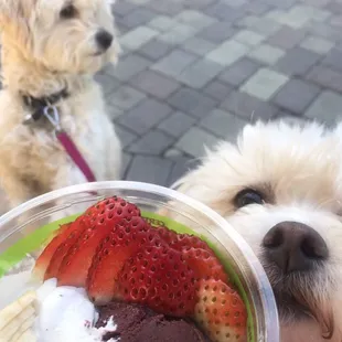 Açaí bowl with coconut ice cream