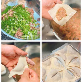 Wonton