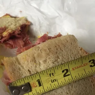 This is visibly not a standard, large sandwich!