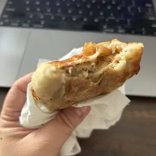 Chicken Mushroom Empanada