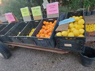 Greenfield Citrus Nursery