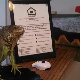 We are ready to serve