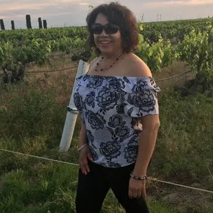 Beautiful Vineyard great scenery