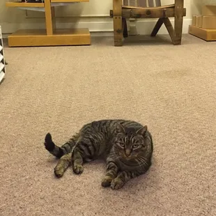 WineO the Pusser! Highlight of our visit