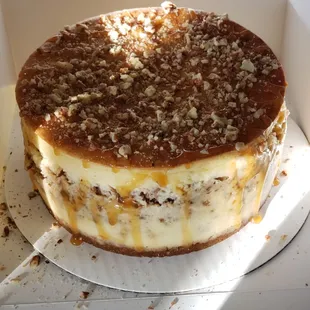 Sea Salt Caramel Pecan cheesecake with a vanilla cookie crust.