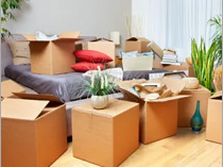 Mindful Movers