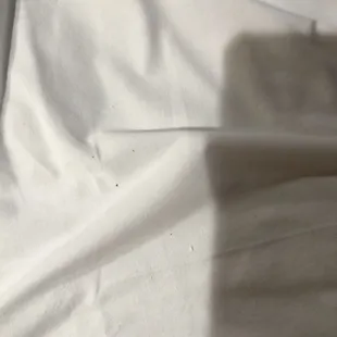 Sheets, pad and pillows