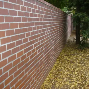 Muddox "Mision" Common Red Brick