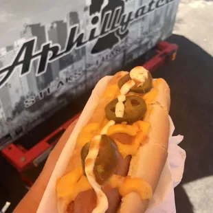 food, sandwich, hot dog, hot dogs