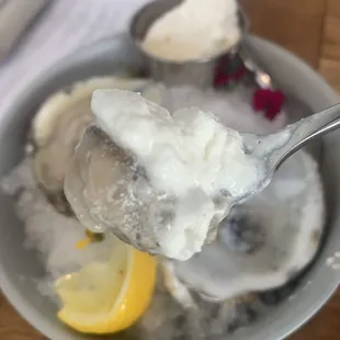 Oysters