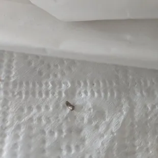 Metal piece inside my burger