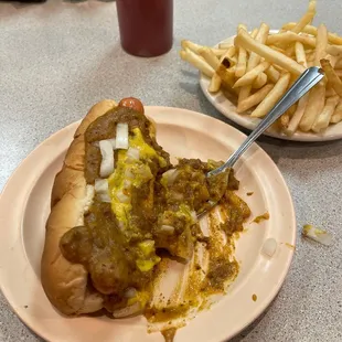 a hot dog and french fries