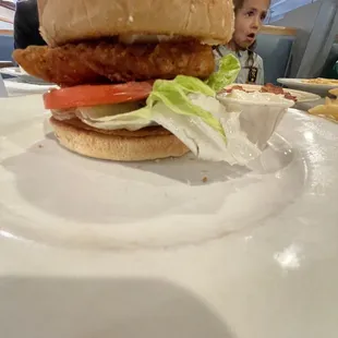 chicken wings and fried chicken, food