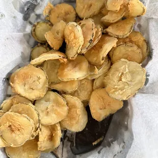 oysters and mussels, food
