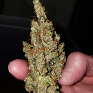 Indoor Baox from Queen Hemp