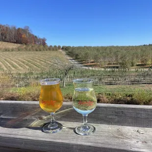 Beer on the left and sugarloaf mountain cider on the right