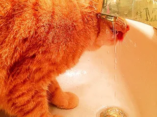 Monroe's Deli Style Eatery