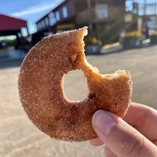 Apple cider donuts