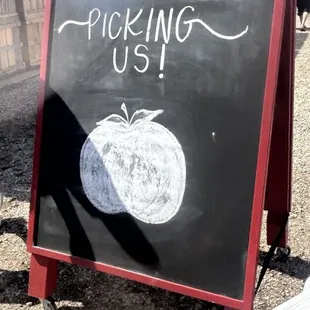 thank you for picking us