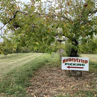 a sign for picking apples