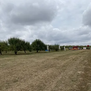 a view of the orchard from the road
